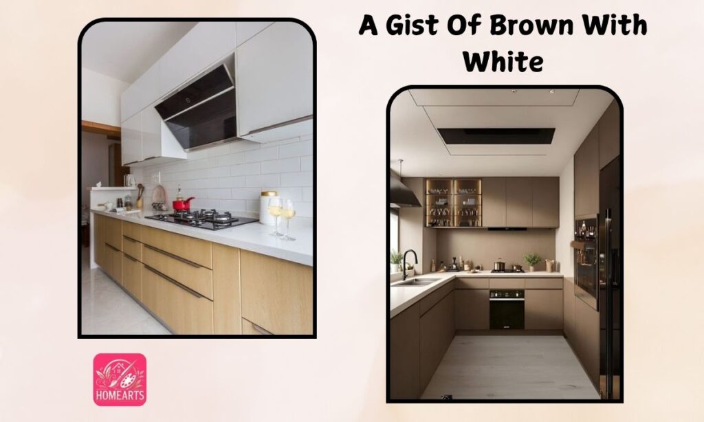 A Gist Of Brown With White