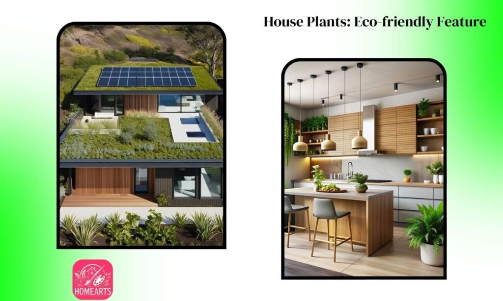 House Plants: Eco-friendly Feature