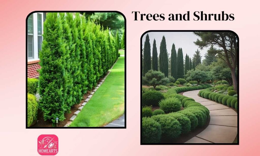 Trees and Shrubs